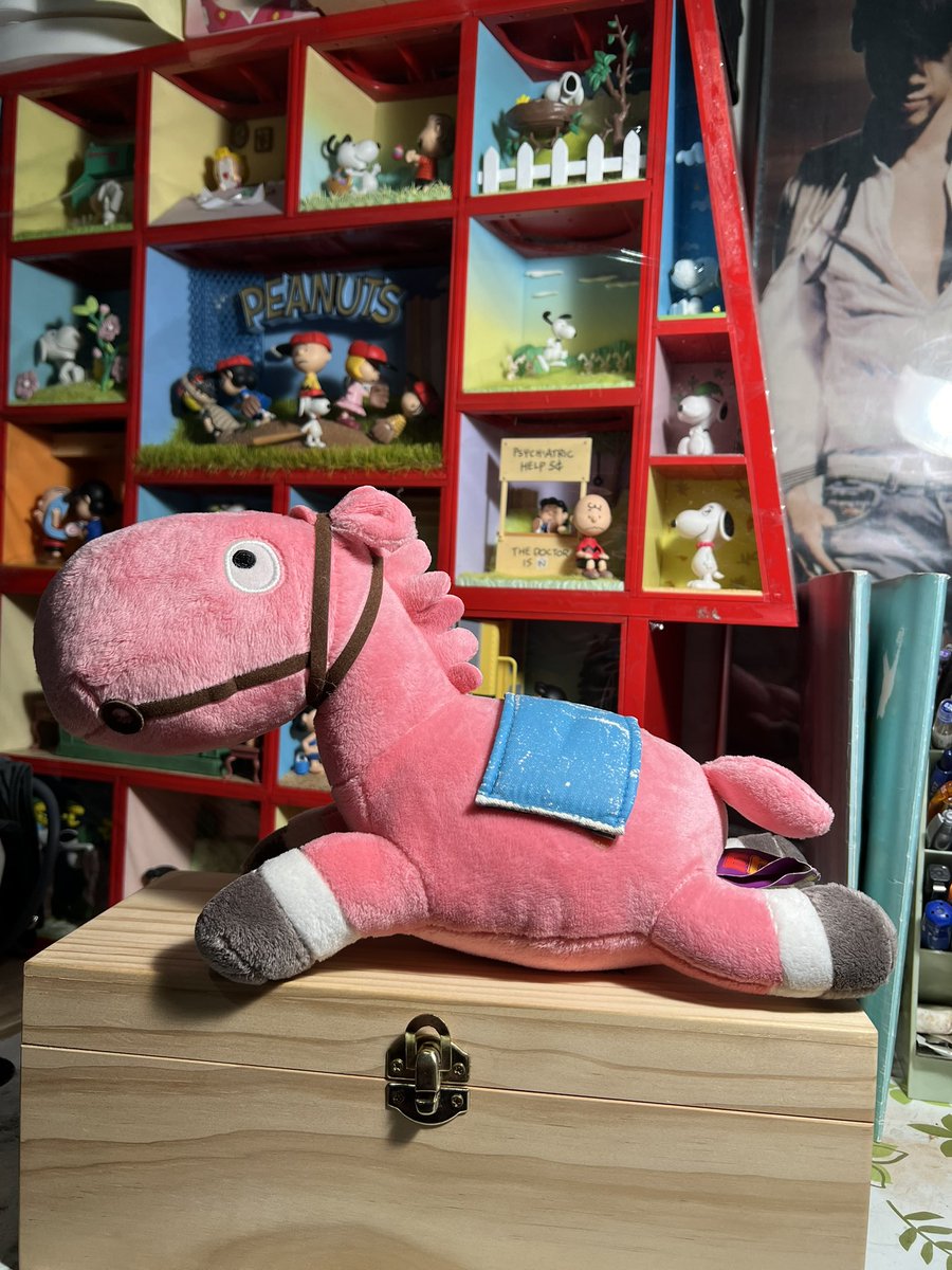 推測這匹小馬是你2014年送的，所以我們認識15年了也是合理，忽然有點想念那個唱歌、大笑、大哭，還有在耳機裡陪我擠公車的日子，是青春吧！
今天也不是什麼特別的節日，連元宵節都過了，現在才派小馬出來say hi😂
等待未來遇見的那一天🙏￼￼￼￼