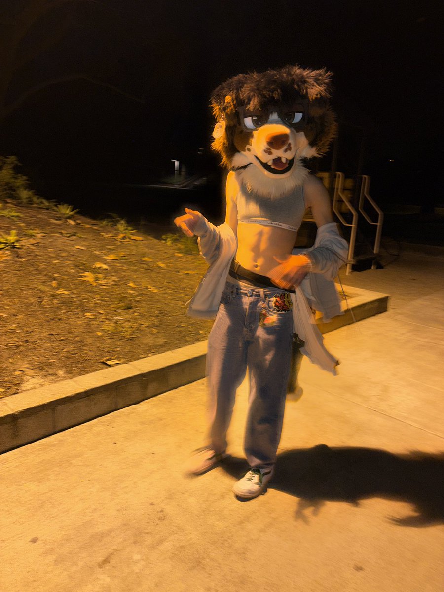 🫑⛩️ 🔜 TFF tweet media