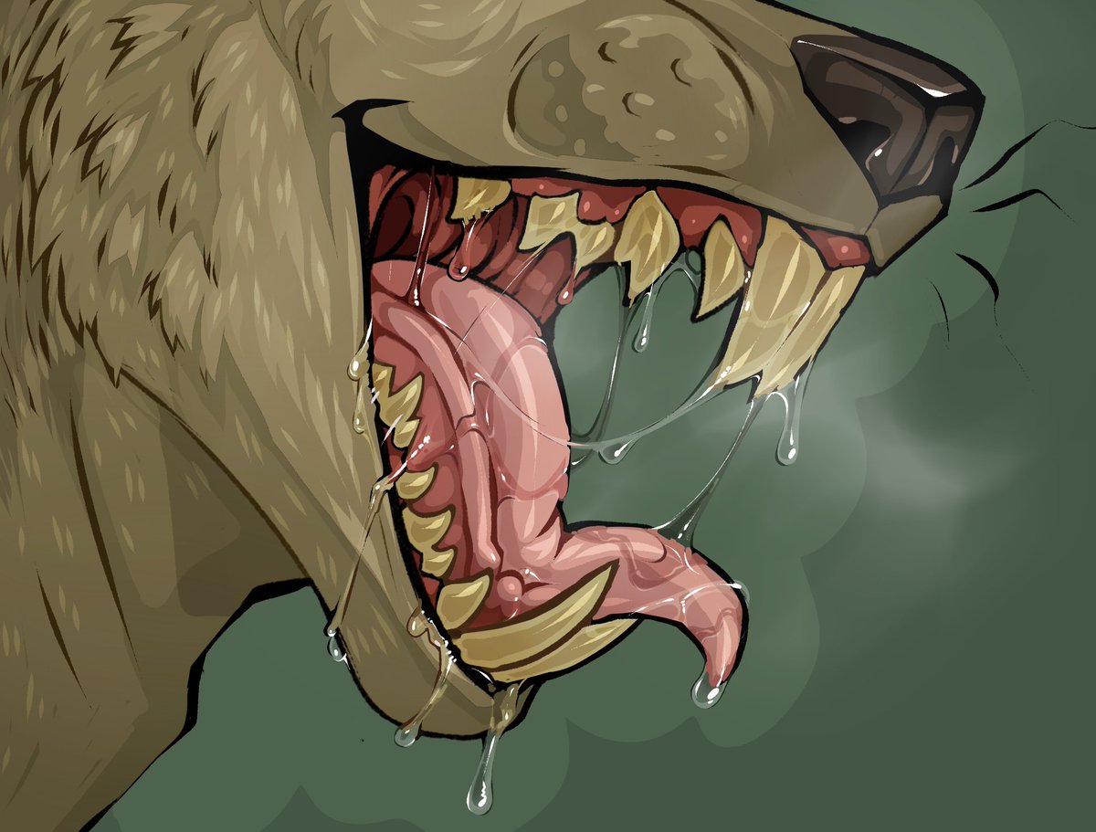 Silas 🐀 tweet media