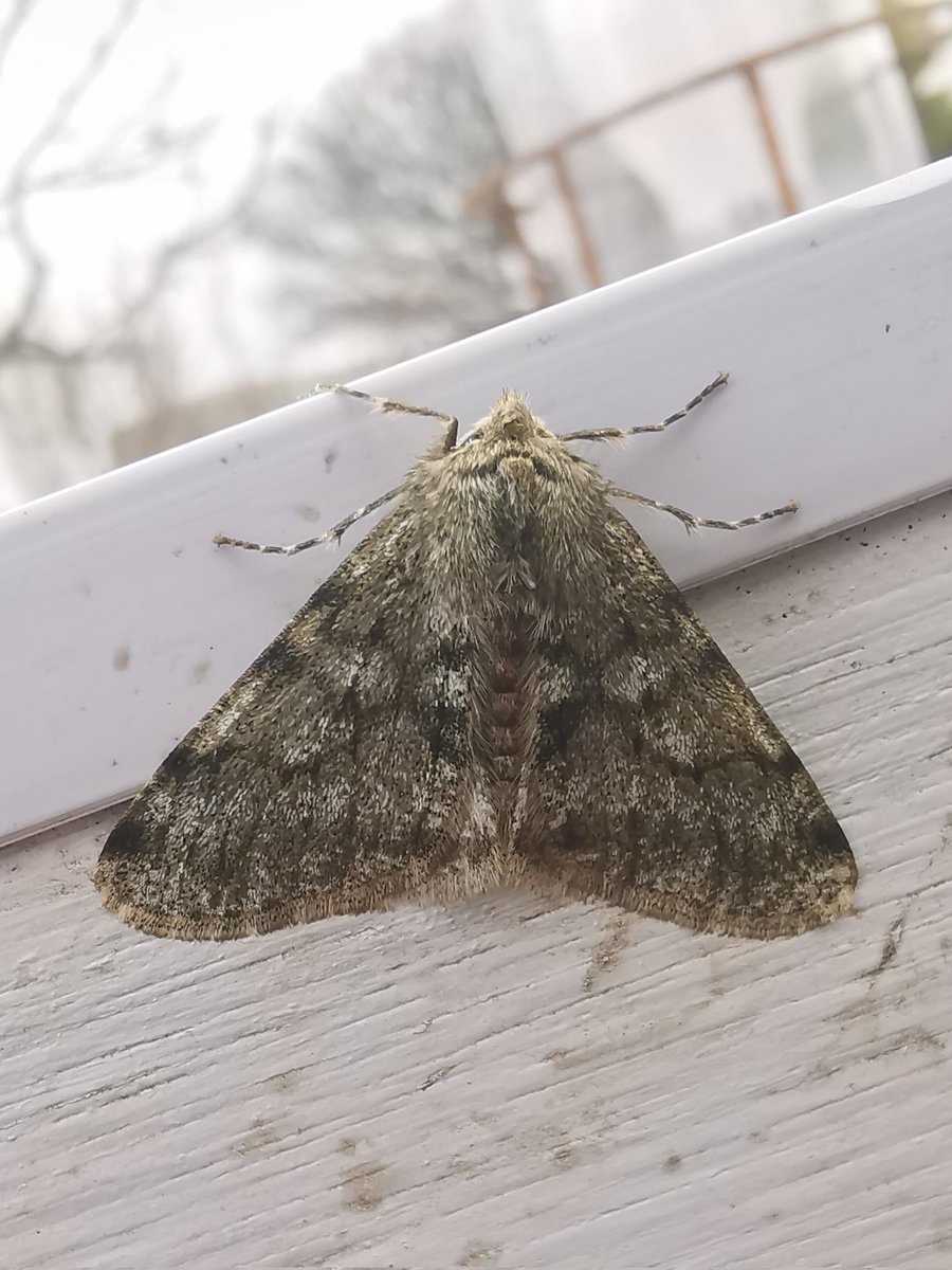 Jason Thompson tweet media