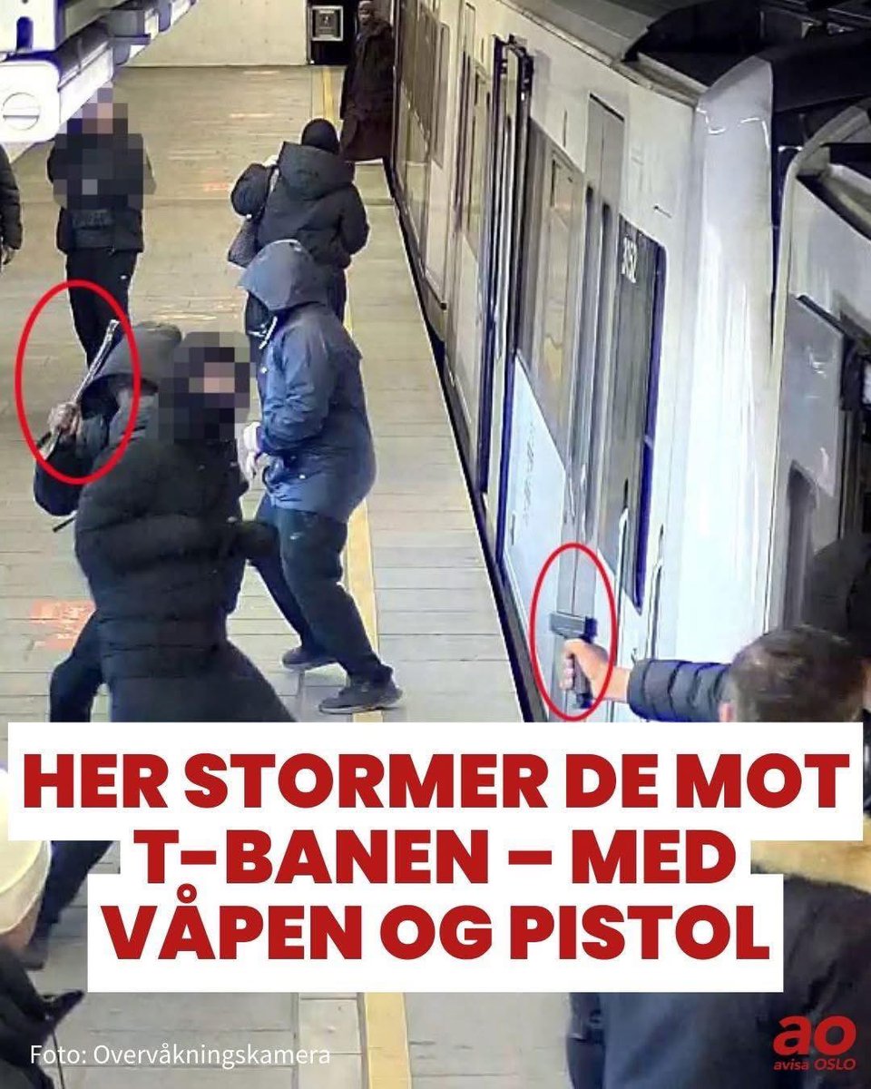 Rebecca Mistereggen tweet media