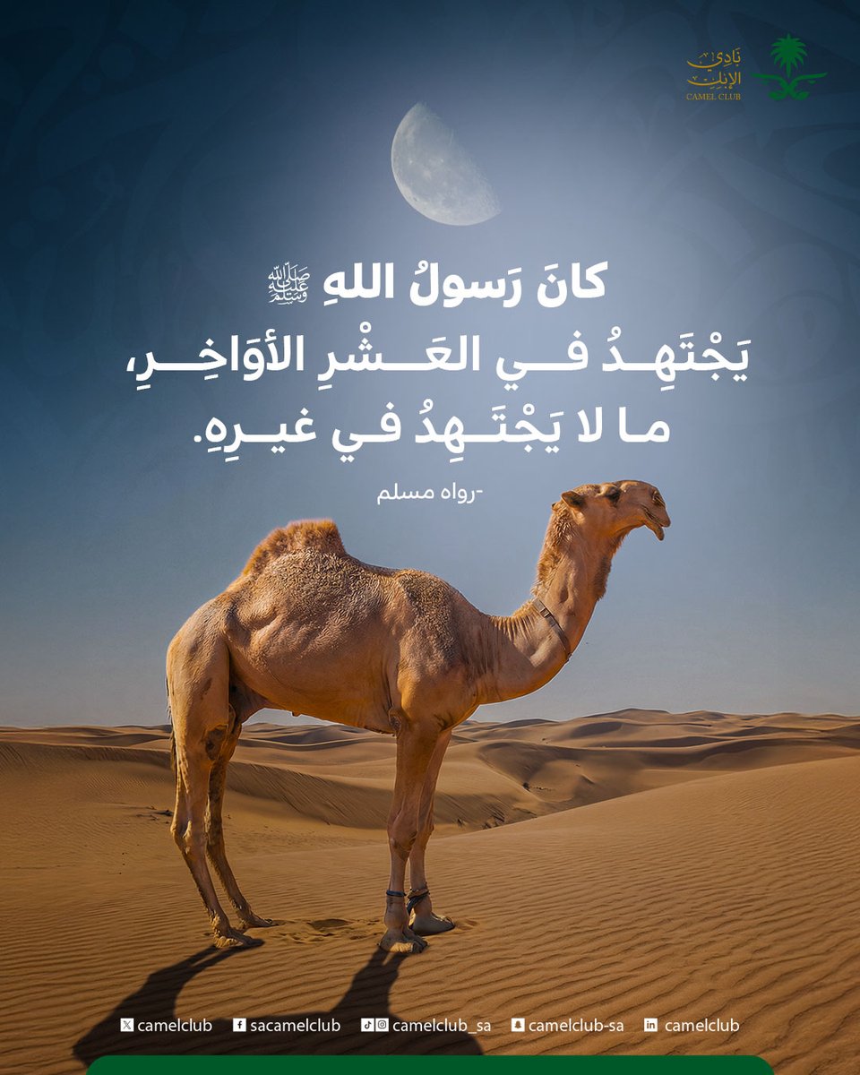 نادي الإبل tweet media