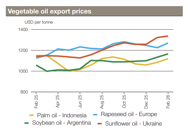 FarmPolicy's tweet image. International #vegetable #oil #prices firmed in February. Palm oil values rose on strong global import demand, while soybean oil extended its gains on supportive biofuel policy developments in the United States of America.

From the @AMISoutlook: tinyurl.com/4azt3uvd