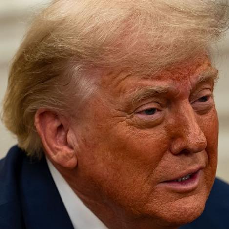 ArmentaRealtor's tweet photo. Este tumor color mandarina, orangután hijo de su reputa inmigrante perra madre es quien hará los USA grande?
Chingue a su madre, espero se muera pronto, junto con todos sus pendejos seguidores.... https://t.co/OxUtpElj5T