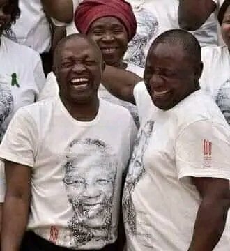 Pula 982 tweet media