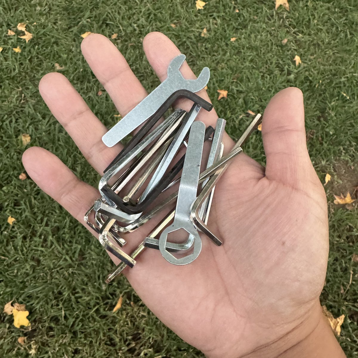 brotha.alphi tweet media