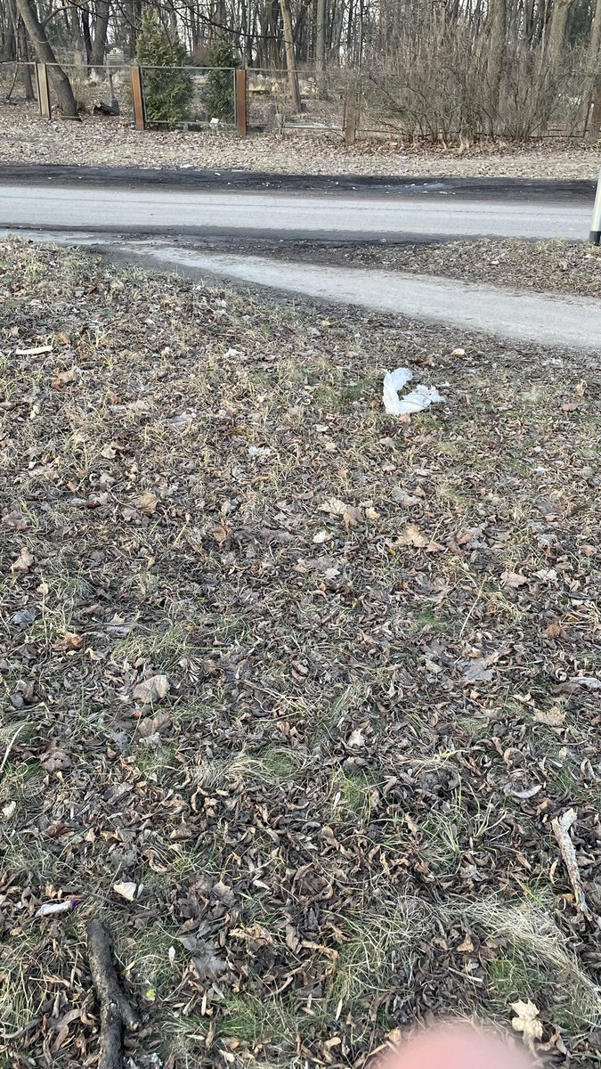 JanisAlkLut's tweet photo. Labdien, @RigasDome ,  vai ir plānots sakopt zaļo zonu starp Vagonu parka staciju un Matīsa kapiem, kā arī ceļu uz Matīsa ielu. Jau no rudens piegružots, lūzuši zari mētājas, riepu un lapu maisu daudz. https://t.co/m9nJSFpEUw