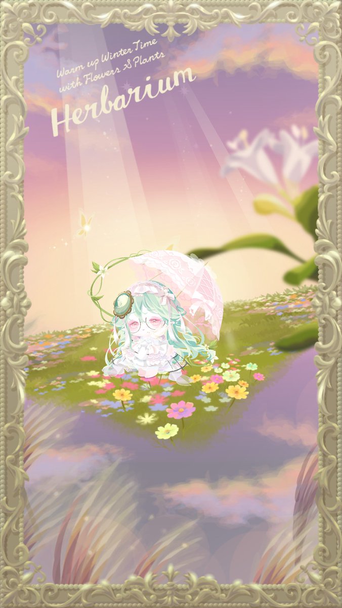 🐈⬛🐾 tweet media