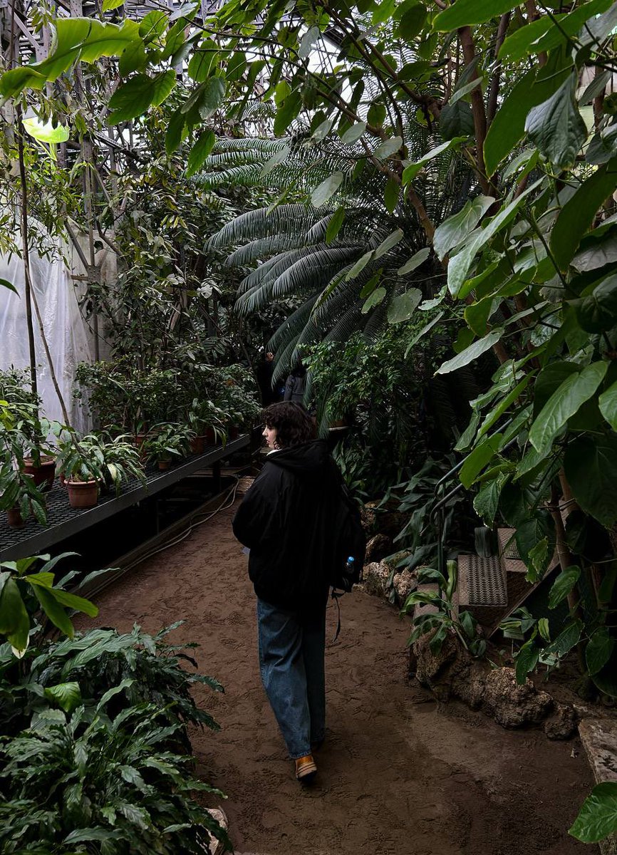 ᴍᴏᴏɴ ᴘʀɪɴᴄᴇss 🌚 tweet media