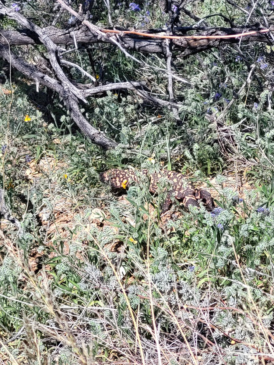 Antonn Park tweet media