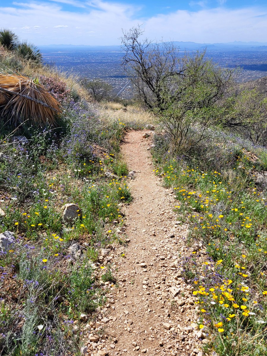 Antonn Park tweet media