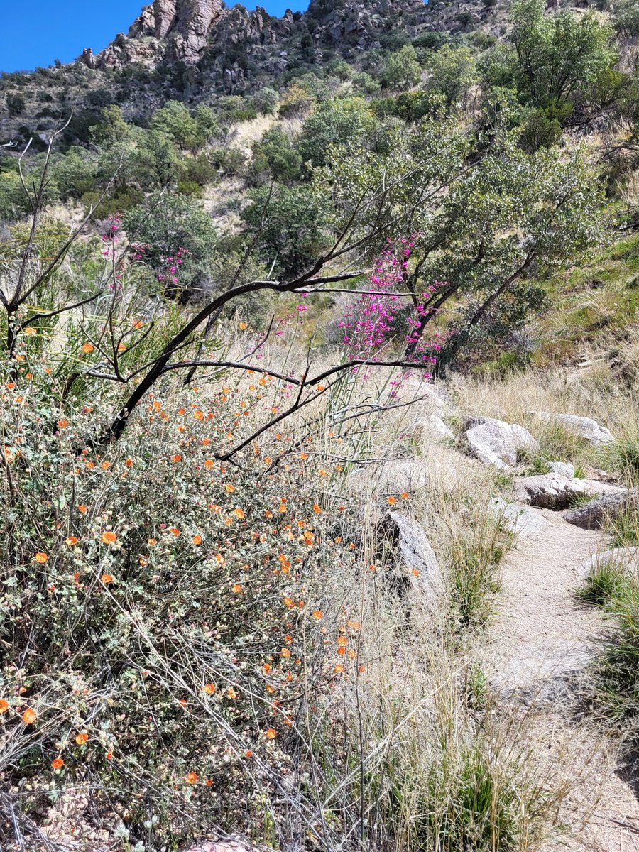 Antonn Park tweet media