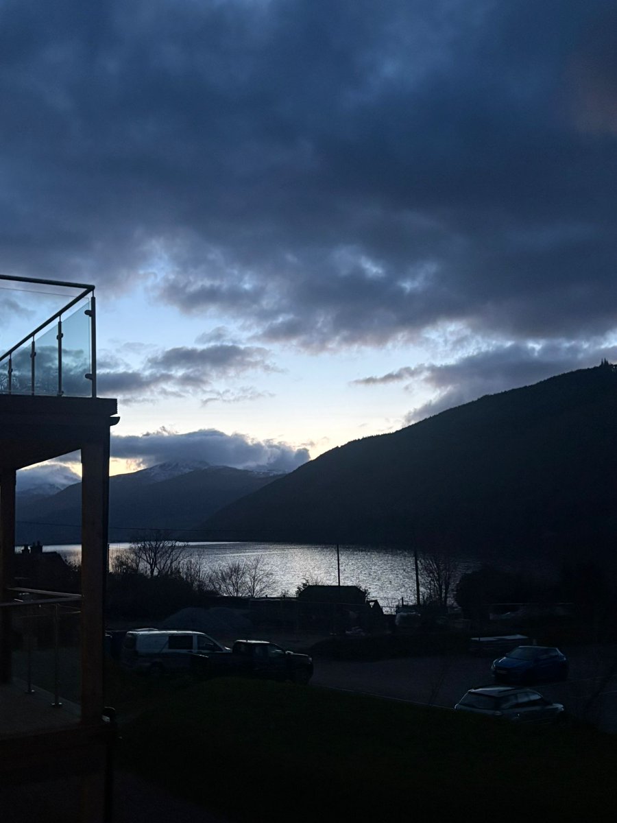 Franny Reilly tweet media