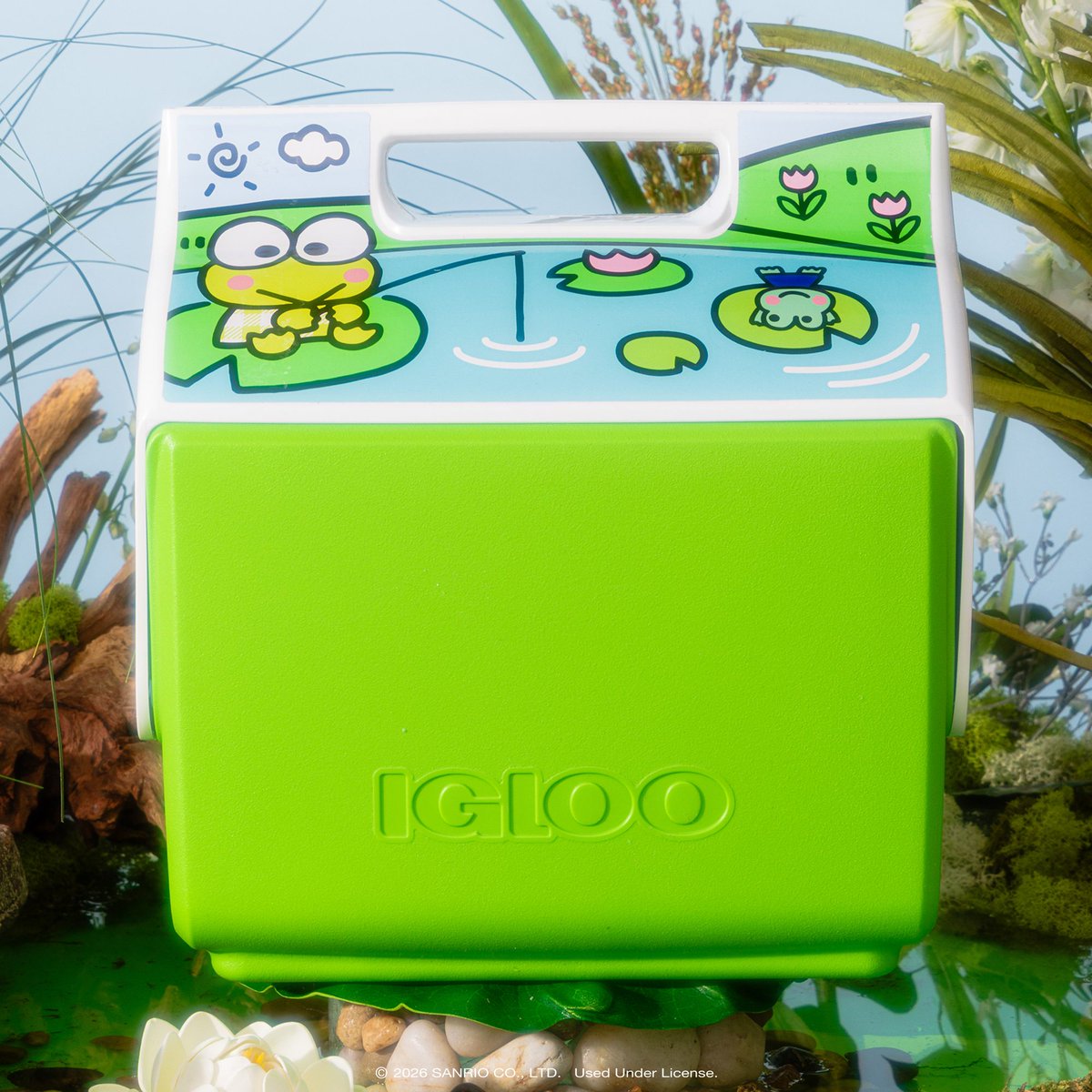 Igloo Coolers tweet media