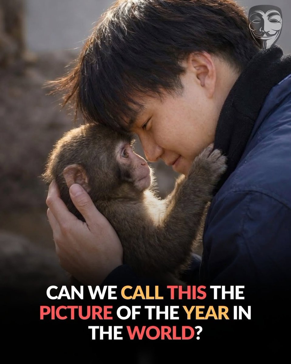 Petswithaura's tweet photo. This level of cuteness should be illegal; it doesn’t just melt your heart… it rebuilds it. 🐒💖 https://t.co/V2cnkDy1lp
