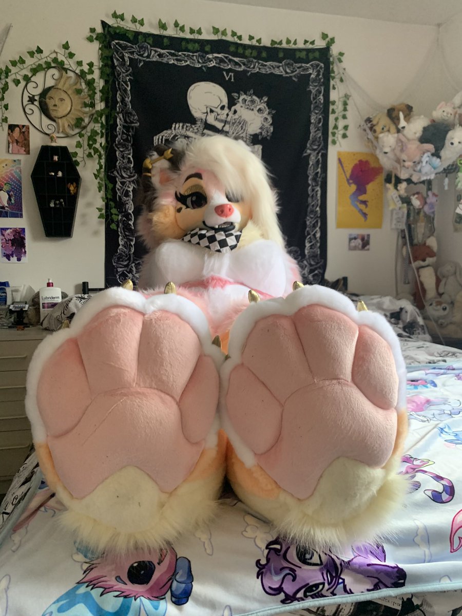 𝔅𝔞𝔪𝔟𝔦 ⛓🔜 Fureh, Calfurry tweet media