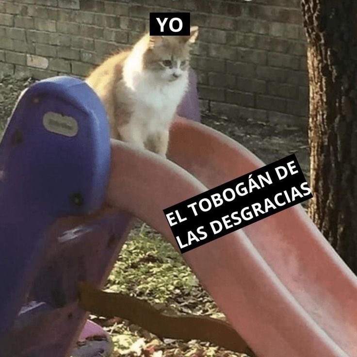 No salgo de una y ya me metí en 100 🫠🫠