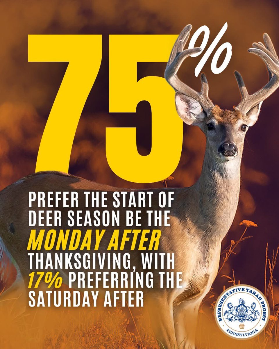 Puddle Pirate 99-03 tweet media