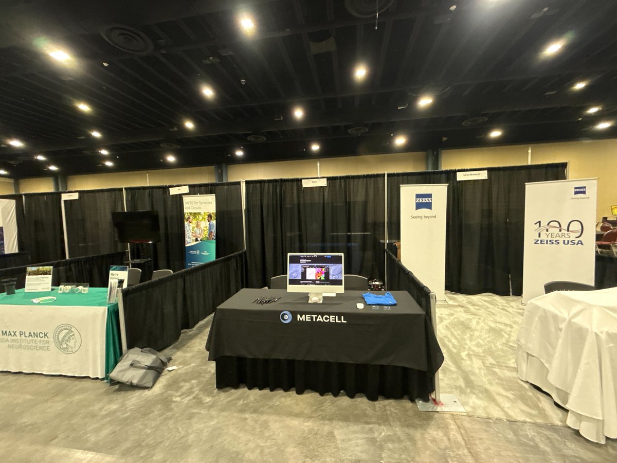 MetaCell tweet media