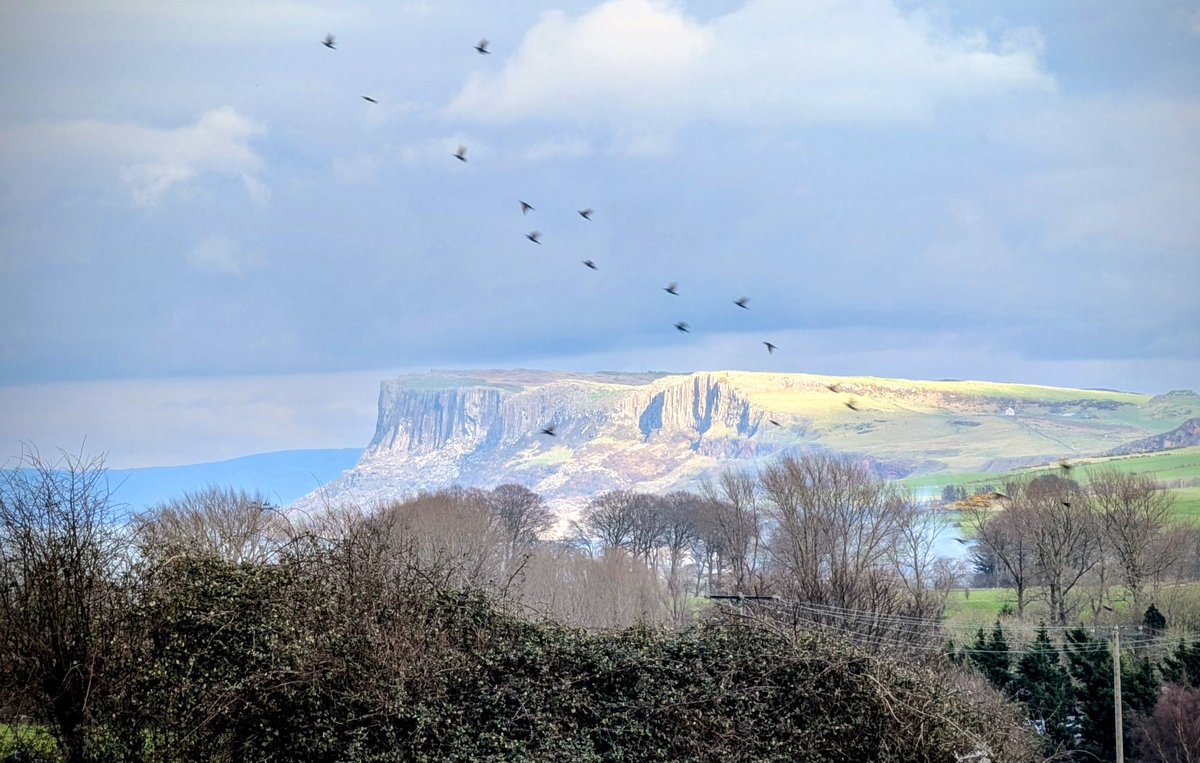 Anne Kelly ⛔NO DMs⛔ unless I know or follow you. tweet media