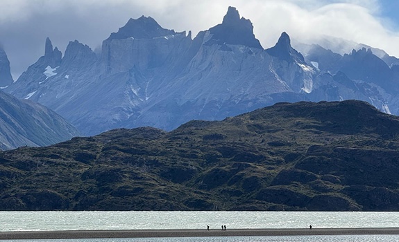 Apollo Health tweet media