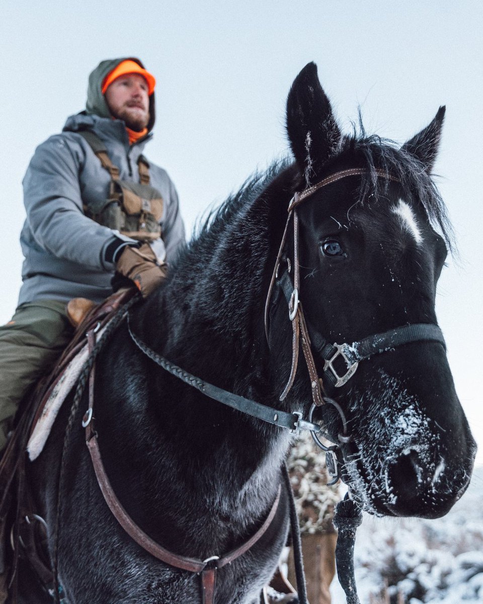 First Lite tweet media