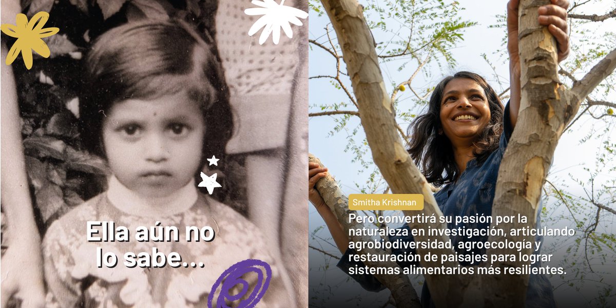 Alianza de Bioversity International y el CIAT tweet media