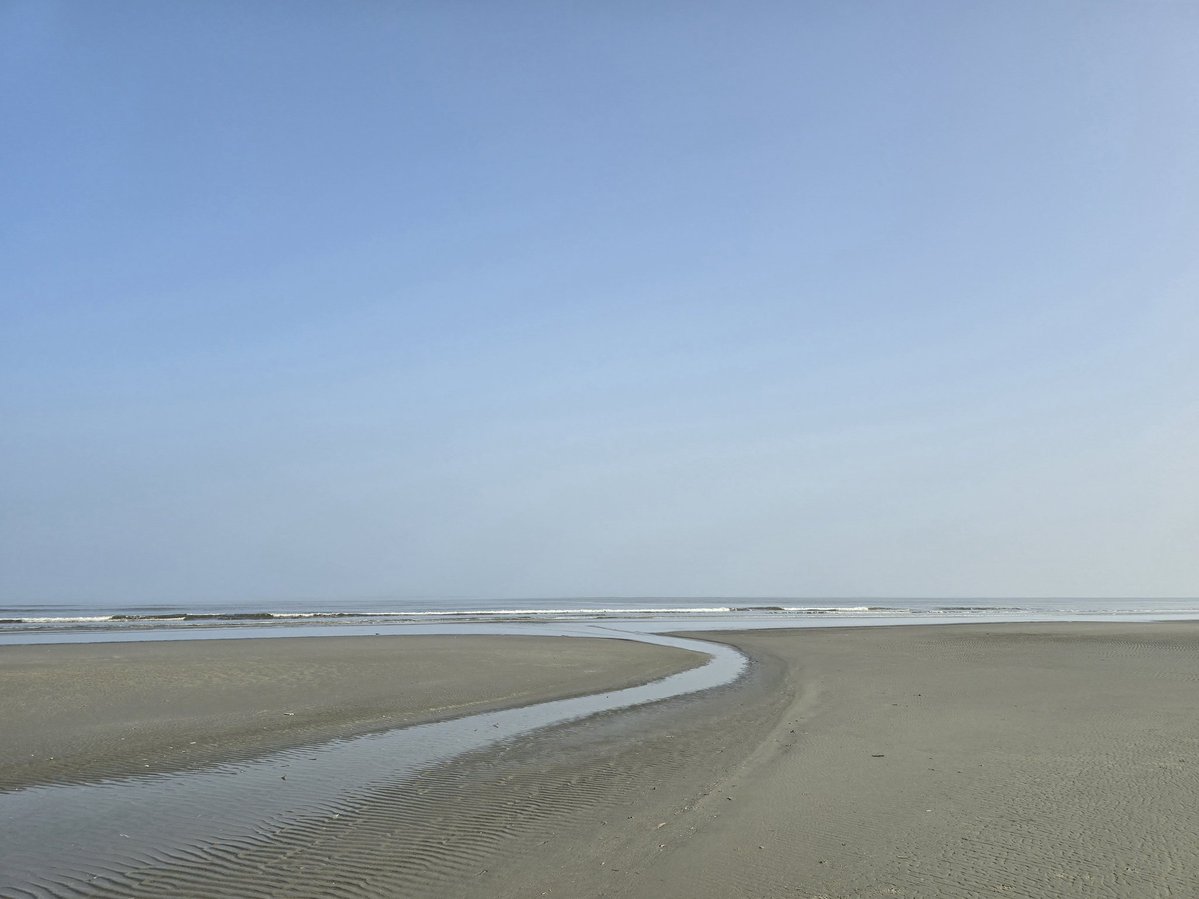 Simon Westerhof tweet media