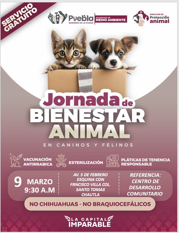 Secretaría de Medio Ambiente tweet media