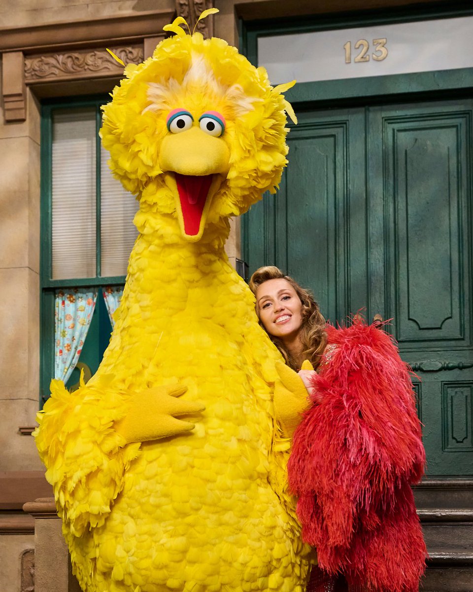 Big Bird tweet media