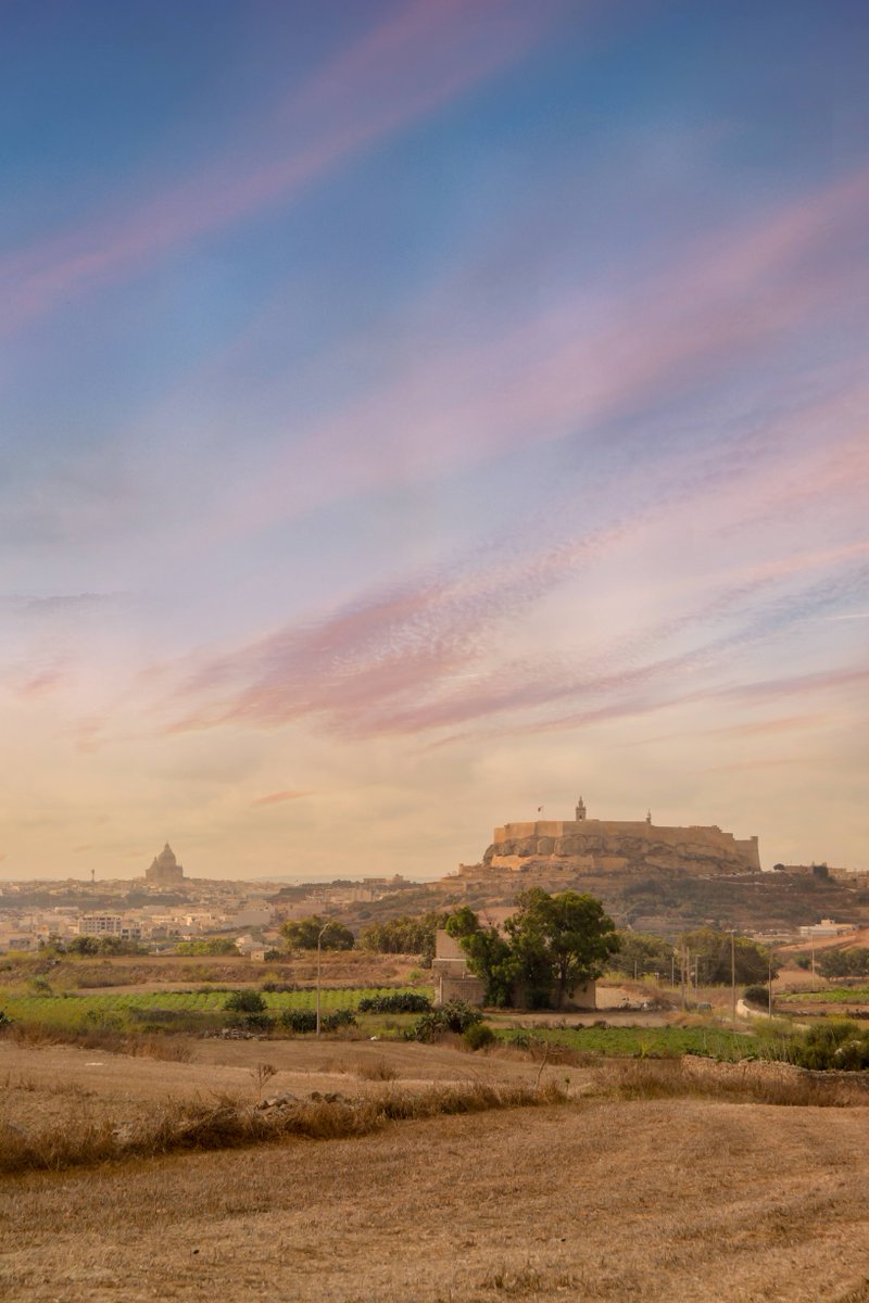 Visit Gozo tweet media