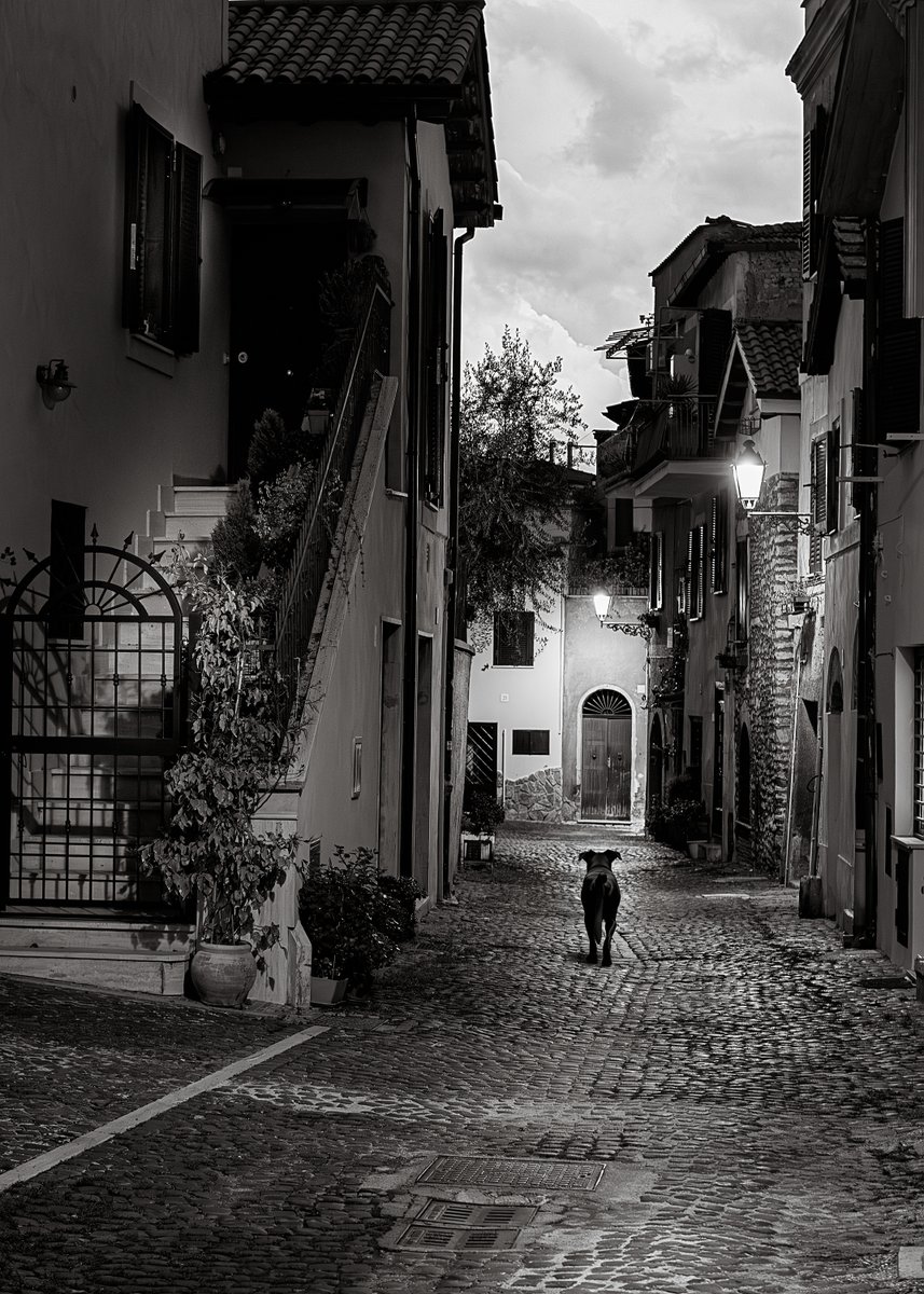 Patrizio1948's tweet photo. Progetto fotografico vicoli
Urban Alleys

Narrow alleys carve silent paths through the city.
Light and shadow shape walls, stones and empty spaces.
In black and white, these forgotten corners reveal the quiet soul of urban life. https://t.co/3xa7szGcQC
