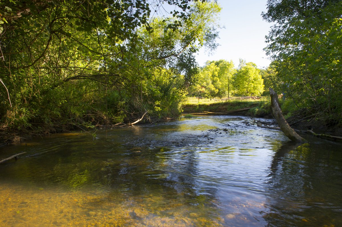 Michigan EGLE tweet media