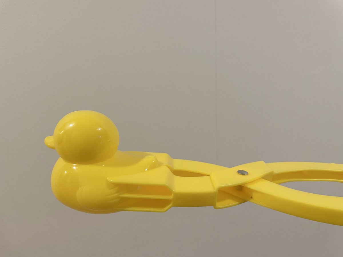 2月に雪が降った時に、アヒルを量産していたのを見てがうらやましかったので私も買った。使うのは来年だけど楽しみ。