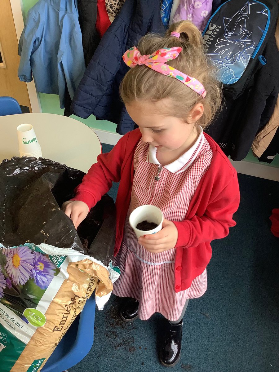 RECEPTIONOPS's tweet photo. Today we have read a fabulous book called ‘That’s My Flower’ to help learn about spring. We have planted sunflower seeds to support our learning about growing and spring, we can’t wait to watch them grow! #eyfs #science #understandingtheworld https://t.co/MGoxH9ieIQ