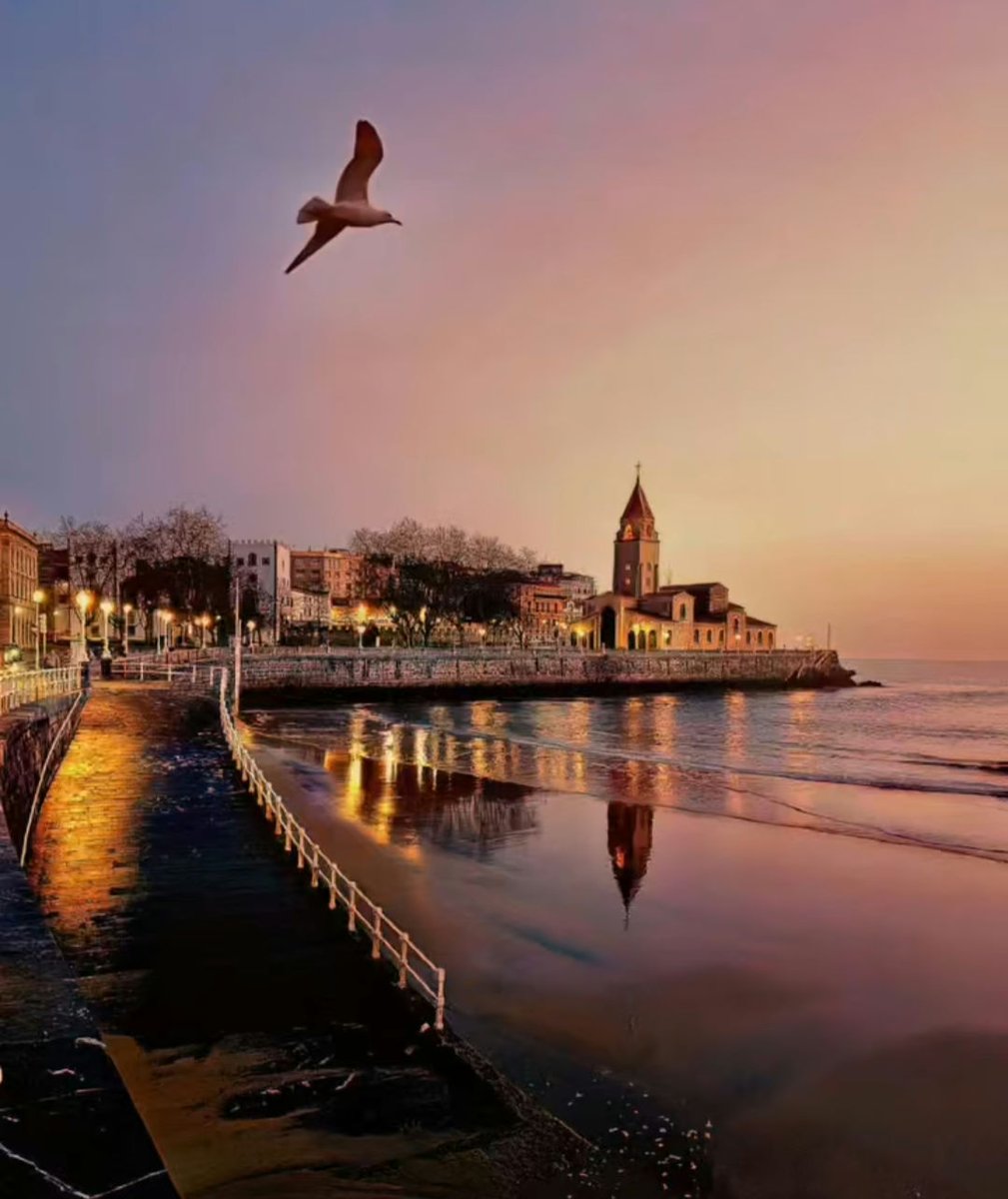 paulo jorge tweet media