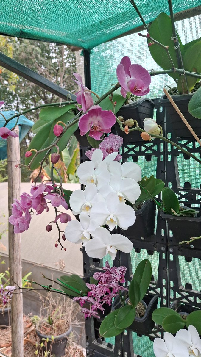 manassarma's tweet photo. A few more photos https://t.co/IYlrDhuzMp