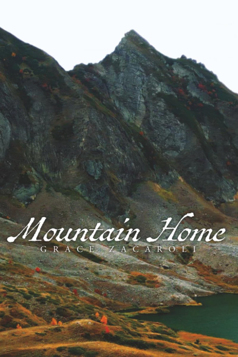 US Review of Books tweet media