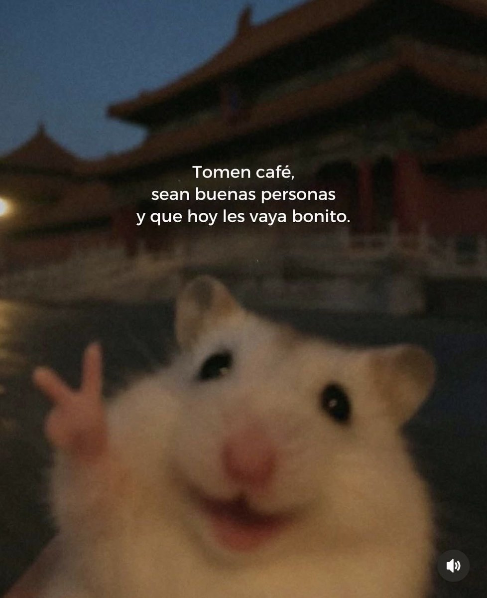 Consejo del día 💕🫶🏼🤗