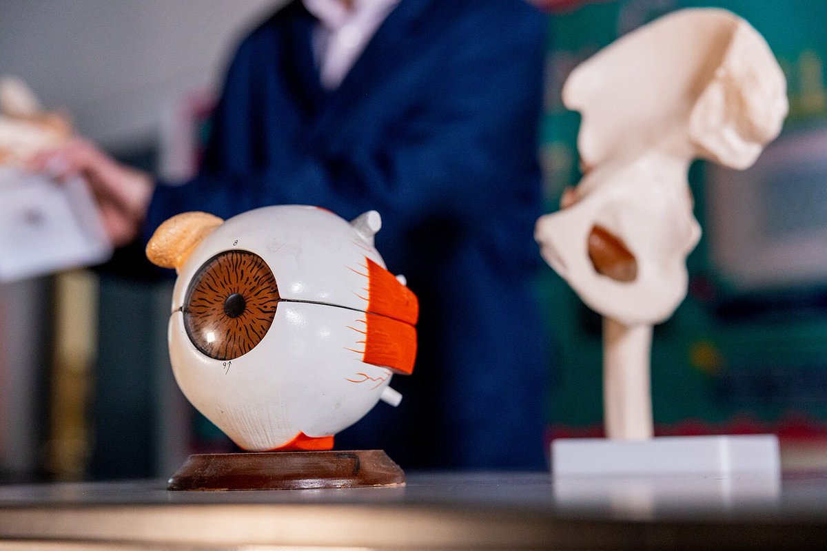 JCSFCollege's tweet photo. This week we are celebrating British Science Week, exploring the 2026 theme “Curiosity – what’s your question?”

Students will take part in a range of activities designed to explore different areas of science and STEM careers

#BritishScienceWeek #STEM #Curiosity https://t.co/ks2QQ8vYc7