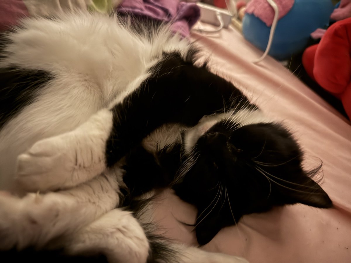 ❤️SKLFCKR (1/3) tweet media