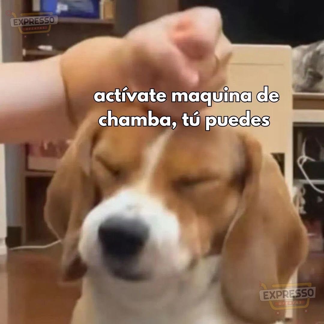 Si se puede si se puede!!