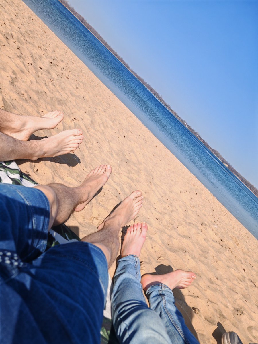 Alfa Seba Master tweet media