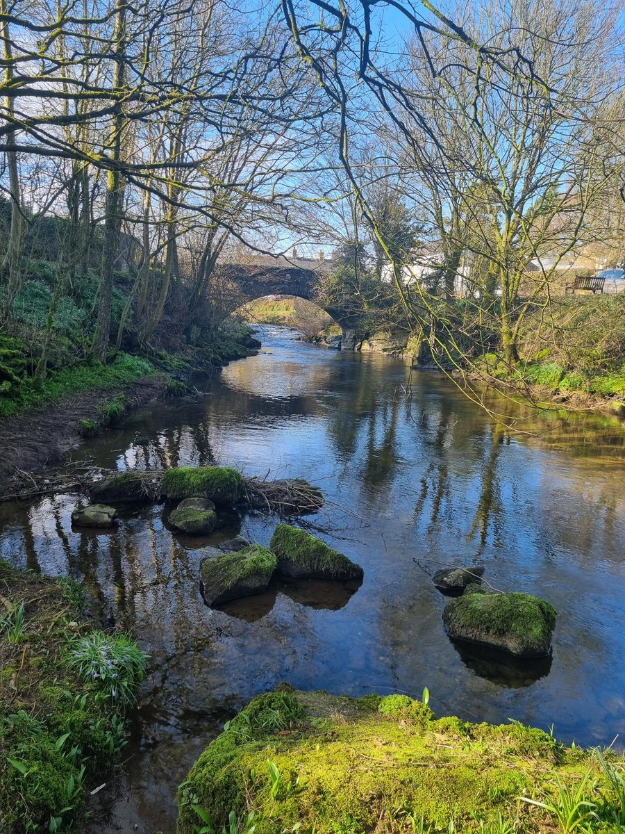 Ben McDougall tweet media