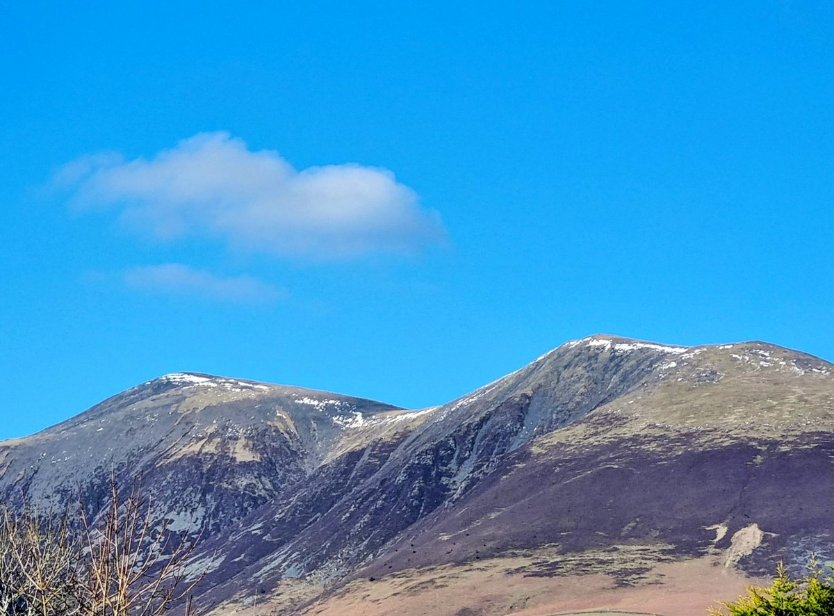 Ben McDougall tweet media