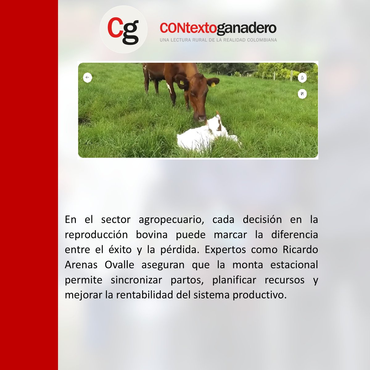 La Primavera Pasion Ganadera tweet media