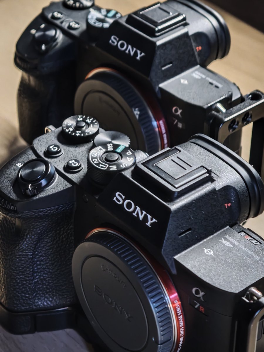 Marron📸 tweet media