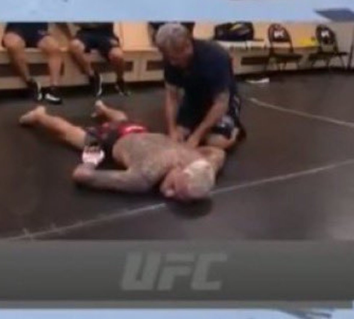 Super Fan🇮🇪 tweet media