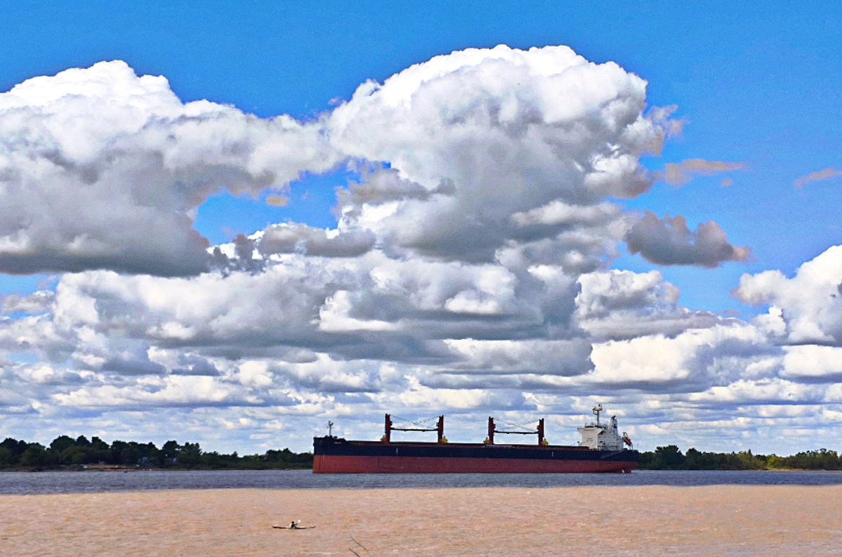 Seba Granata tweet media