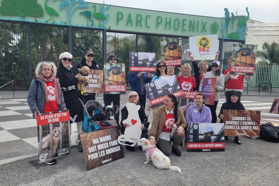 France 3 Côte d'Azur tweet media